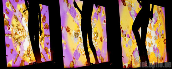 E*Rock at Showbox Market, September 5, 2008. Photo by Nicole Kristek.