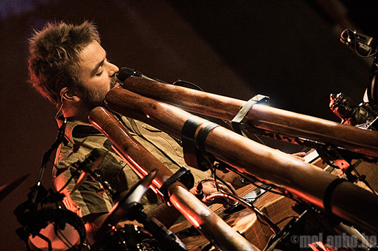 melophobe looks back: favorite concert photos from our first year!.