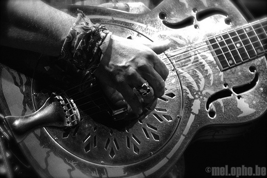 melophobe looks back: favorite concert photos from our first year!.