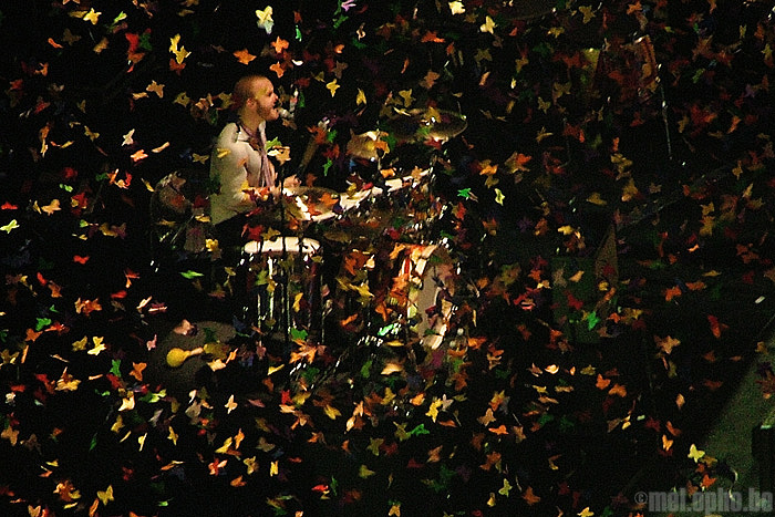 Coldplay at American Airlines Center, November 19, 2008. Photo by Devine Barry.