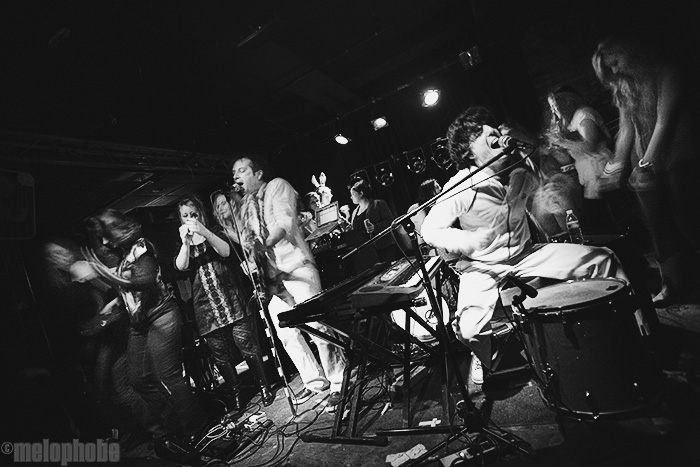 Wheat at Great Scott, January 24, 2009. Photo by Joshua Bean.