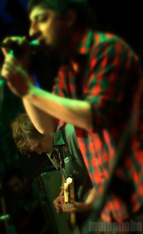 Grizzly Bear at Cedar Street Courtyard, March 20, 2009. Photo by Nicole Kristek.