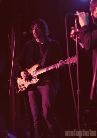 A Leaf at Chop Suey, April 2, 2009. Photo by Nicole Kristek.