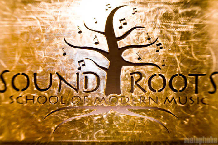 Business Profile - Sound Roots School of Music. Photo by Ian McNeil.
