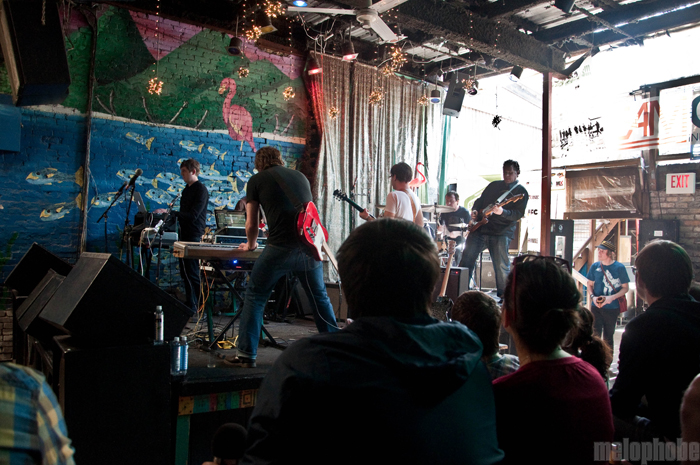 Collections of Colonies of Bees at Flamingo Cantina, March 19, 2010. Photo by Chris Barth.