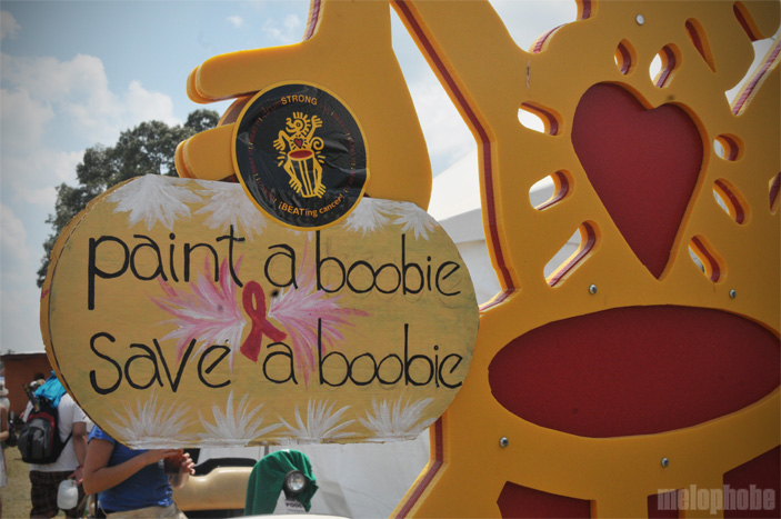 Photo Spectacular! - Bonnaroo 2010, June 10, 2010. Photo by Chris Barth and Hayley Kennedy.