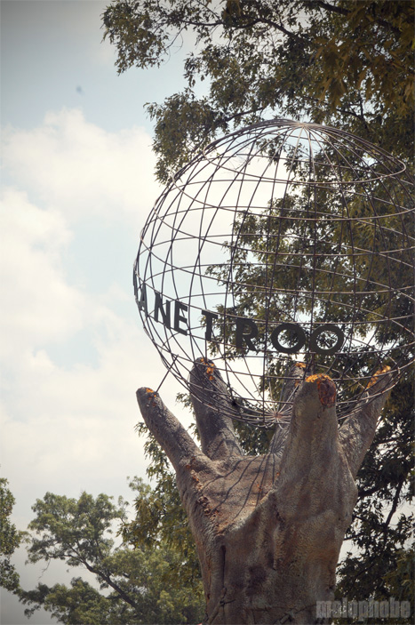 Photo Spectacular! - Bonnaroo 2010, June 10, 2010. Photo by Chris Barth and Hayley Kennedy.