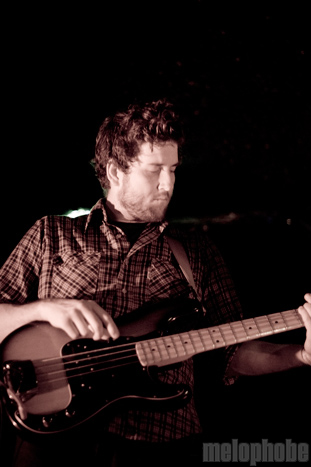 Donkeys at Berbati's Pan, July 6, 2010. Photo by Ian McNeil.