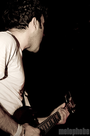 Donkeys at Berbati's Pan, July 6, 2010. Photo by Ian McNeil.