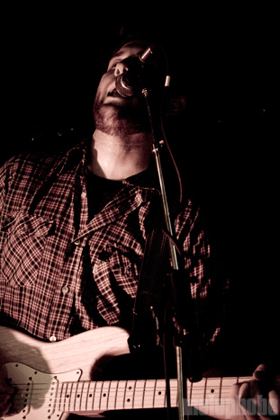 Donkeys at Berbati's Pan, July 6, 2010. Photo by Ian McNeil.