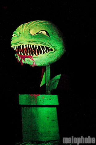 Powerglove at Branx, December 11, 2010. Photo by Troy Dunham.