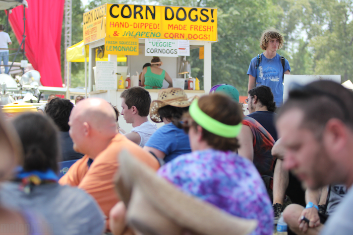 Bonnaroo 2011, Part 2 of 3: The Environment, June 21, 2011. Photo by Michael Zonenashvili.