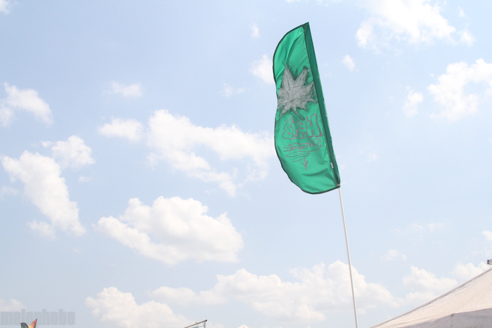 Bonnaroo 2011, Part 2 of 3: The Environment, June 21, 2011. Photo by Michael Zonenashvili.