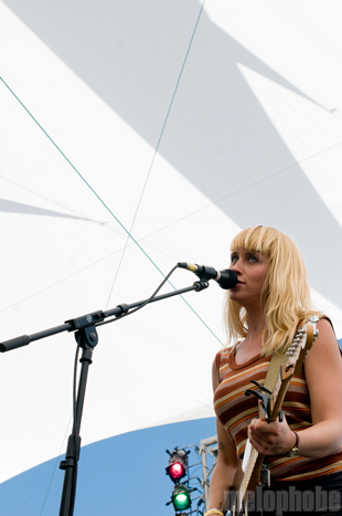 Wye Oak at Pendarvis Farm, August 7, 2011. Photo by Carrie Johnston and Ian McNeil.