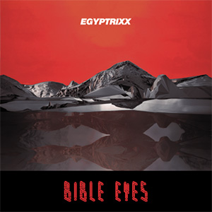 Photo from “Top 10 Best Electronic Albums of 2011”