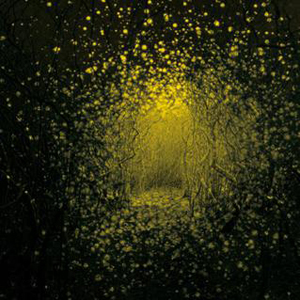 Photo from “Top 20 Best Albums of 2011”