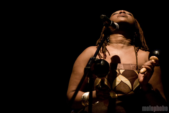 Chiwoniso at Museum of Fine Arts, July 21, 2010. Photo by Steve Benoit.