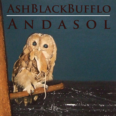 Ash Black Buffalo