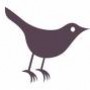 Tweet Beat