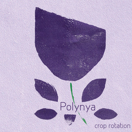 Polynya