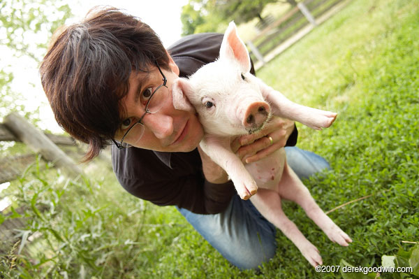 The Mountain Goats